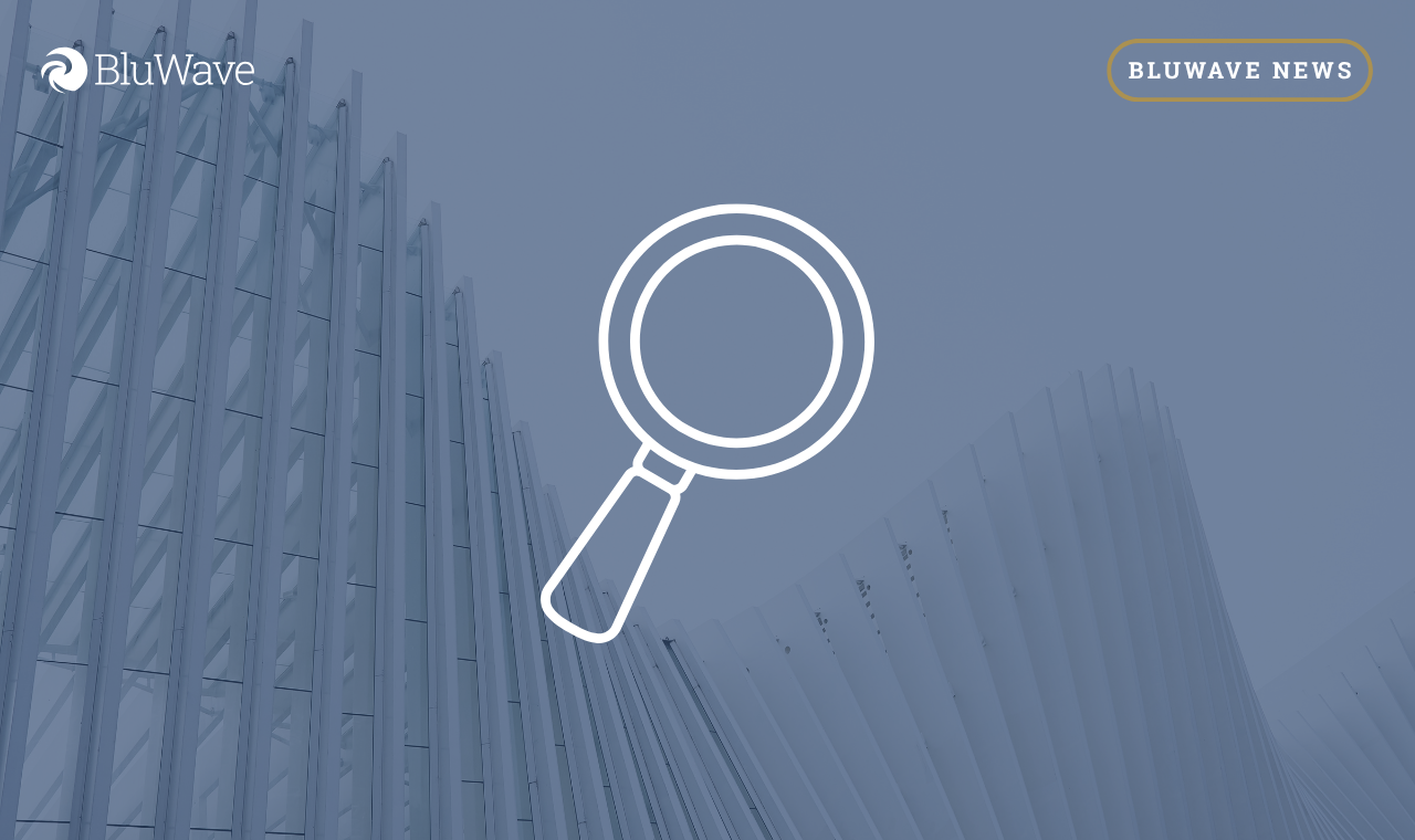 Private Equity Deal Market Positioned for Robust Growth in 2025, Driven by BluWave Insights
